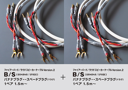 2BS2